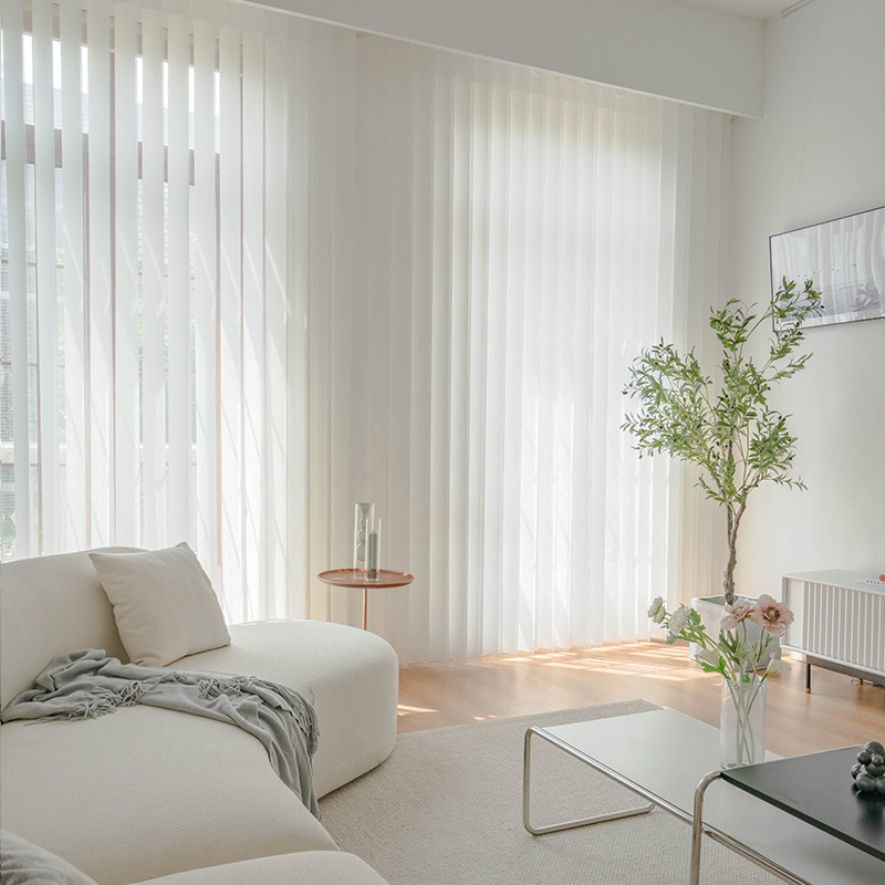 Dream curtain 2021 new electric net red vertical blind vertical curtain Nordic blackout white curtain Hanas curtain