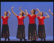 Minzu University of China Xinjiang Uyghur Dancer Class Tutorial DVD CD Folk Dance Teaching Video