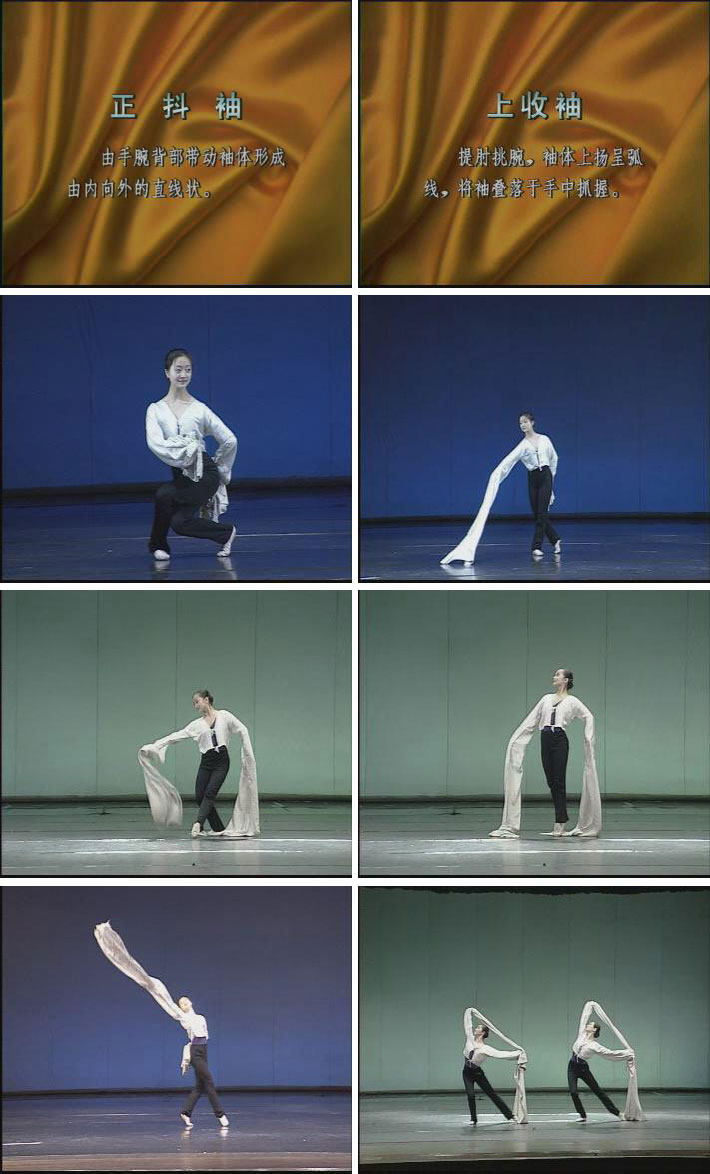 Beijing Dance Academy Chinese Classical Dance Body Rhyme Sleeve Dance Training Video Tutorial 1VCD