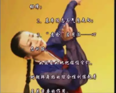 Choi Seung-hee System Korean National Dance Tutorial DVD Folk dance teaching video