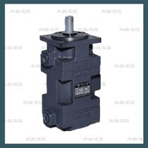 Xianju Yongling medium and high pressure quantitative double vane pump YBD-2 5-10 2 5-10
