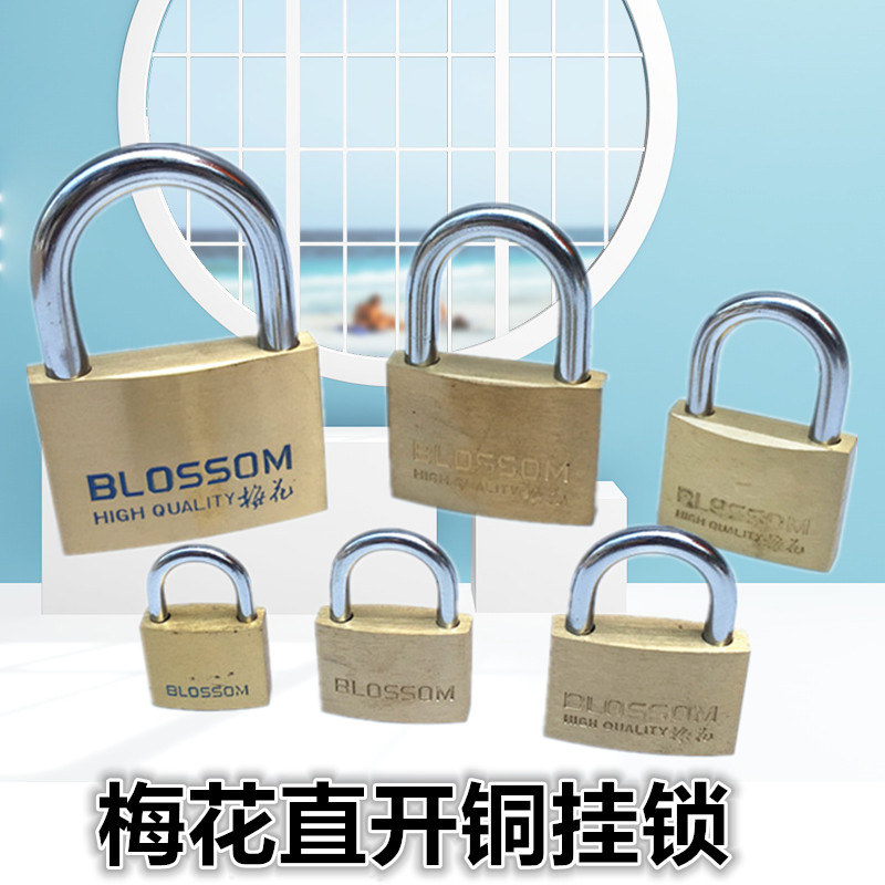 Plum Blossom Copper Lock Thin Medium Small Padlock Plum Blossom Lock Cabinet Lock Furniture Lock Case Lock 202530354555 Model