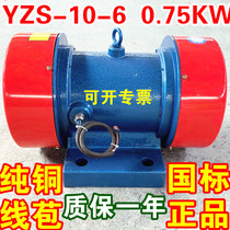 YZS-10-6 vibration motor 0 75KW tremor machine 380V tremor screen horizontal motor copper wire three-phase AC