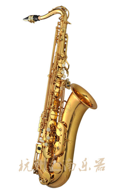 Taiwan Kaiwei tenor saxophone TS101 B flat 85 gold copper guarantee cold stretch