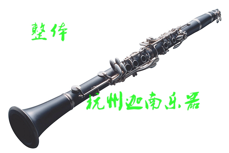 Taishan clarinet black tube TSCL-750 down B tone 17 keys 6 rings nickel plated band universal