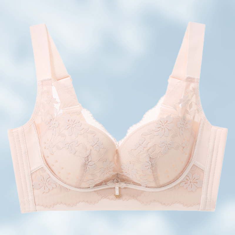 High-End Clearance Lingerie, Push-Up Anti-Sagging Adjustable Bra for Small Busts, Underwire Bra, Sexy Lace Bra