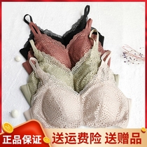 Sie silk Johan 20215 No Mark No Steel Ring Raised bra All-cup side collection Anti Drooping Gather Sleep Lingerie