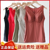 Sissy soft women fall winter cold-proof large size belly warm vest tight bottoming top chest free bra