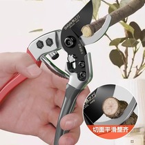 German imported pruning shears gardening pruning shears special scissors for flower art pruning flower pruning scissors fruit tree flowers and trees