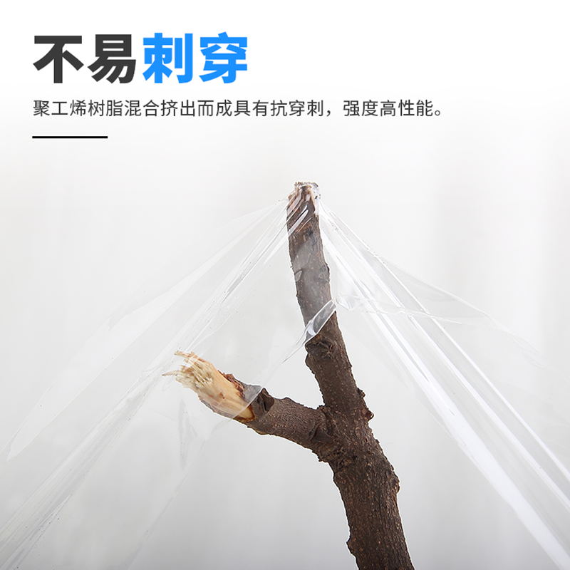 PE selfadhesive grafting film fruit tree seedlings wrapped takeaway