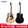 Yamaha Yamaha FGX830C Đàn guitar điện ballad góc mới - Nhạc cụ phương Tây đàn guitar điện