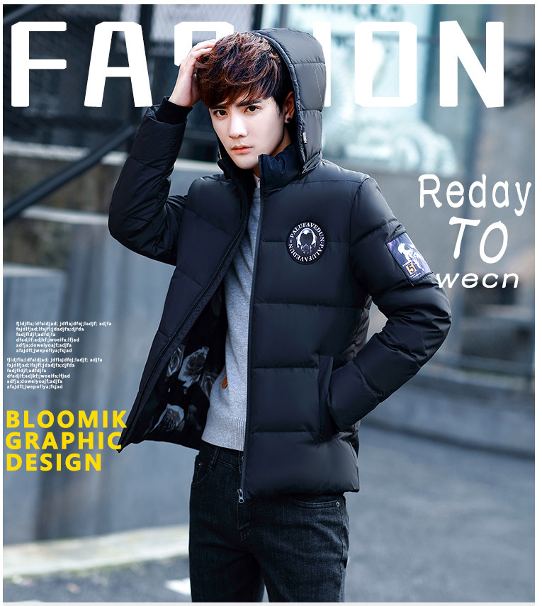 Blouson homme PLAYBOY     en Polyester - Ref 3121617 Image 7