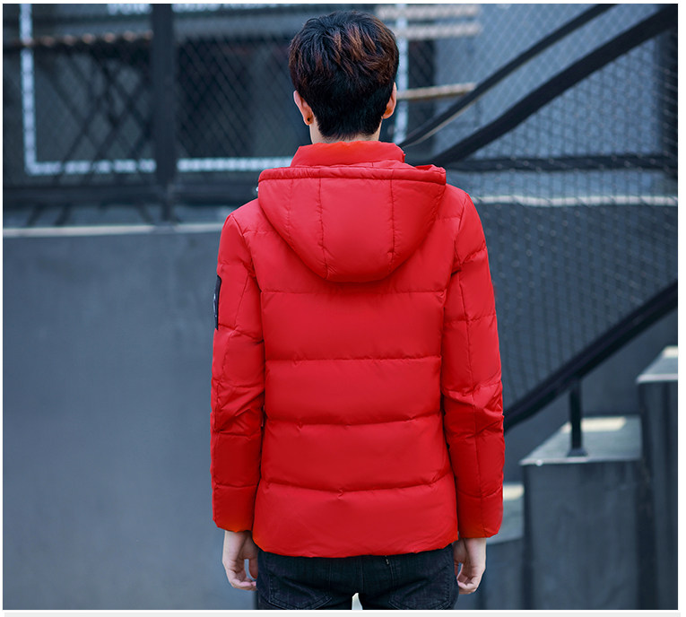 Blouson homme PLAYBOY     en Polyester - Ref 3121617 Image 33