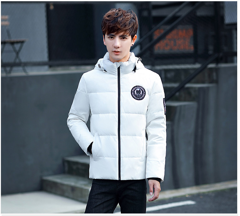 Blouson homme PLAYBOY     en Polyester - Ref 3121617 Image 28