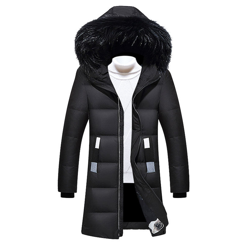 Blouson homme PLAYBOY     en Polyester - Ref 3119912 Image 5