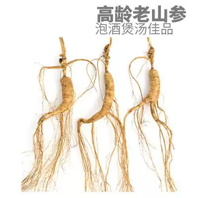 Ginseng wild ginseng Changbai mountain wild ginseng yi shan can northeast specialty ginseng under Forest 16 Old Mountain Ginseng