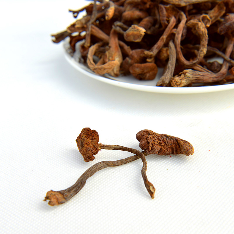 Northeast Changbai Mountain specialty mushroom wild fresh bulk rootless dried hazel mushroom chicken stew 250g mushroom