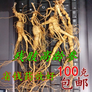 Mountain Ginseng
