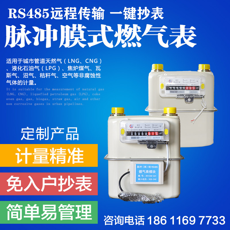 RS485 Remote Gas Meter Pulse Gas Meter G2.5 G4 G6 G10 G16 G25 G40 G65 G100