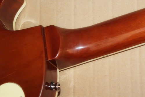 Flyoung LP электрогитарный персик цветет сердце