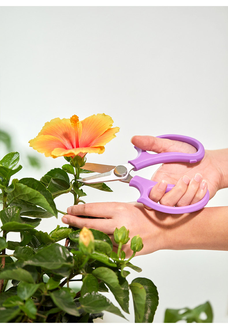 790 Scissors_07.jpg