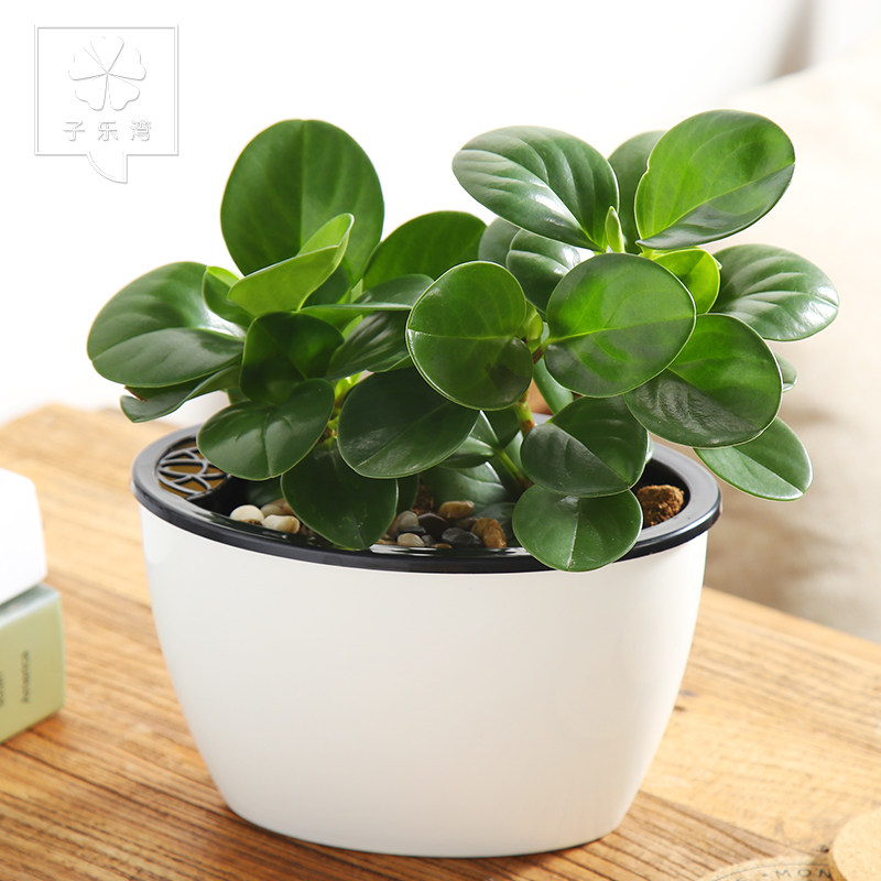 �������辰�������ӻ�