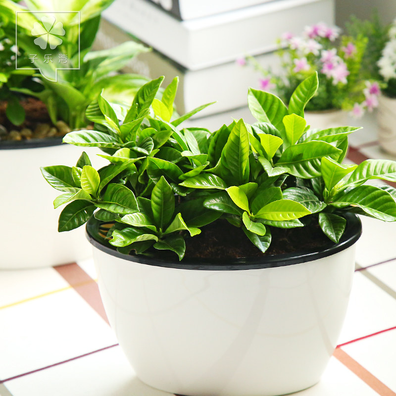 �������辰�������ӻ�