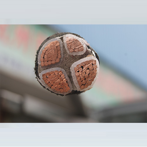 Hangzhou Zhongcheng Brand Wire and Cable ZR-YJV3*50 1*25 square three-phase four-core hard wire national standard foot rice