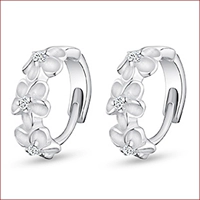 15 моделей (S925 Стальной принцип)