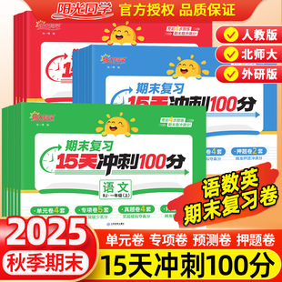 2025版阳光同学期末复习15天冲刺100分