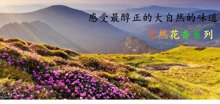 vòng cổ trầm hương Đẹp và thơm ba hoa Tây Tạng, hương, hương, hương, hoa hồng, hoa oải hương, osmanthus, hoa nhài, hương, hương, hương trong nhà, hương - Sản phẩm hương liệu vòng tay trầm hương nữ