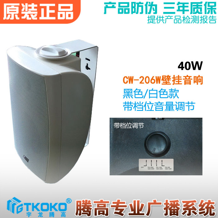 CW-206WB Meeting Wall-mounted Sound Box Speaker Black white paragraph Broadcast Dingpressure Horn Woo Purchases High Promotion