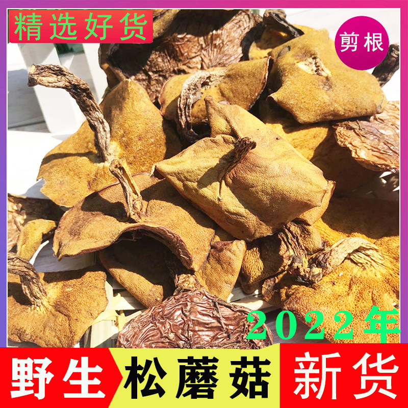 In 2022, Chengde specialty pine mushroom fresh dry cargo wild northeast mushroom mushroom pine moth