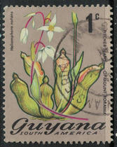 Guyana 1971-76 flower general ticket 1c sold 1 piece (different stamp positions)