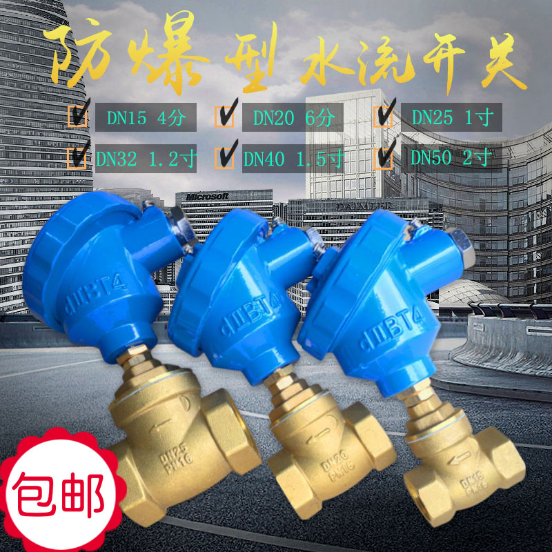 Water flow switch Explosion-proof flow switch Water shortage protection switch 4 points DN15