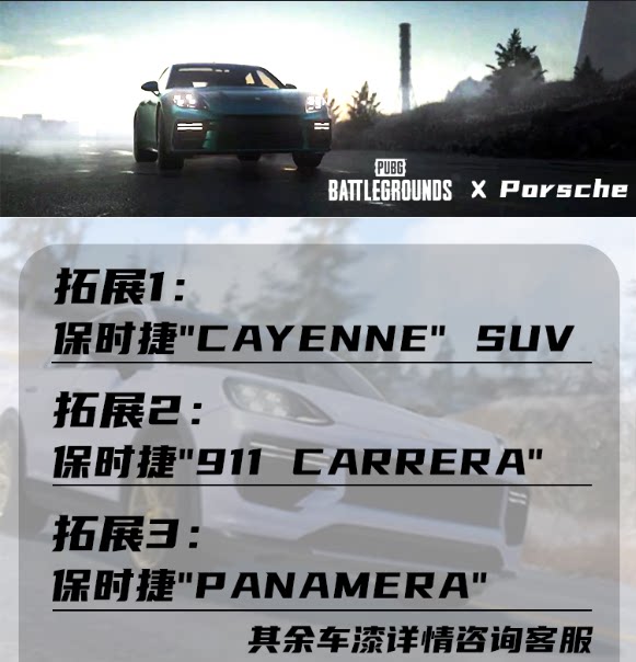 PUBG Porsche skins - Product image 5