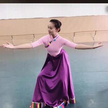 Tibetan costume female pink purple practice skirt classical dance costume national performance costume Yi Mongolian performance costume