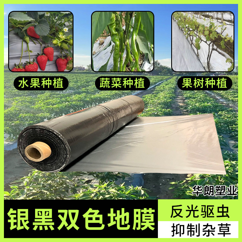 Silver and black double-color mulch film, thickened agricultural reflective mulch film, fruit and vegetable planting mulch film, insect repellent and weed control special agricultural film