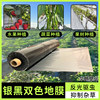 Silver and black double-color mulch film, thickened agricultural reflective mulch film, fruit and vegetable planting mulch film, insect repellent and weed control special agricultural film