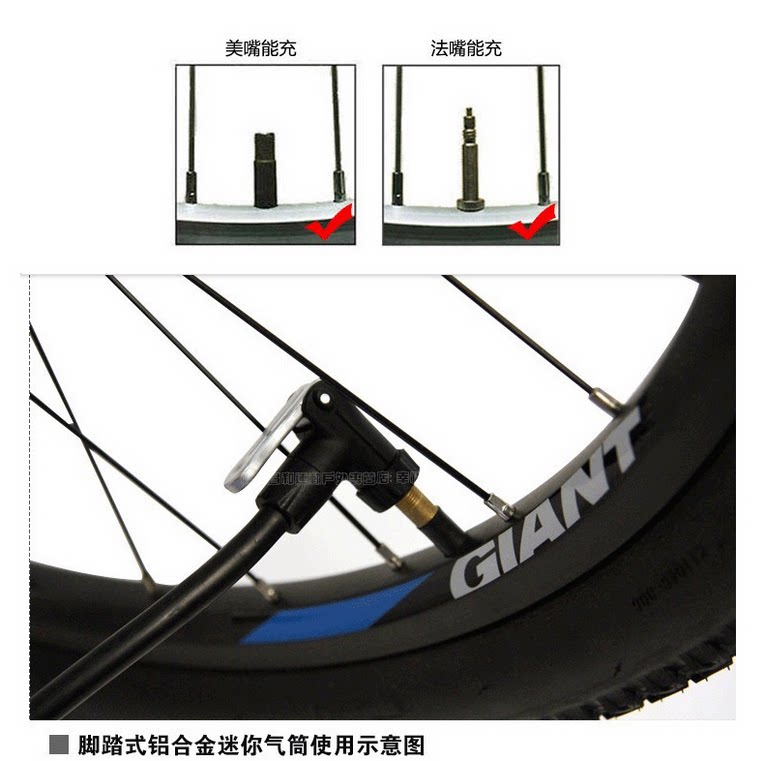 Pompe à vélo GIANT - Ref 2389848 Image 34