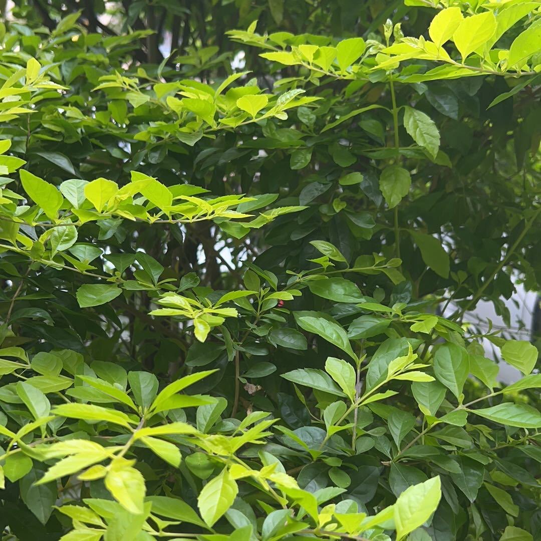 原厂售后配件九