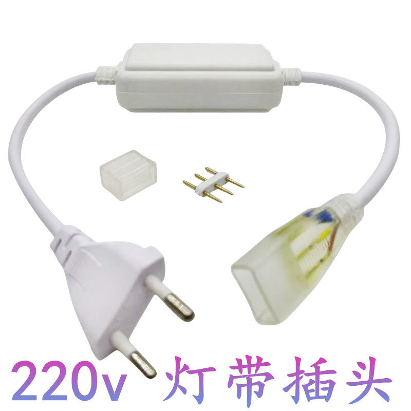 LED Light With Plug Switch 220v Accessories Dimming Seven Color RGB Patch Remote Control 2835 Rectifier Power 5050