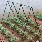 [种植箱种菜架豆角黄瓜爬藤架庭院葡萄架包塑钢管植物支架户外爬藤]