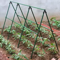Ящик для посадки Поинтерская стойка кукуруза огурцы огурцы Корт садовых грейпфейнов пакеты пластиковая стальная труба Ботанические стенты на открытом воздухе Рестаболи
