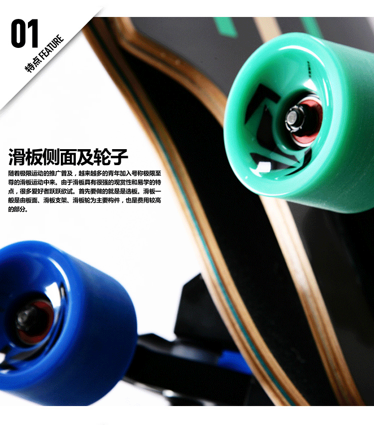 Skateboard pour homme femme enfant FIREFLY - Ref 2607085 Image 16