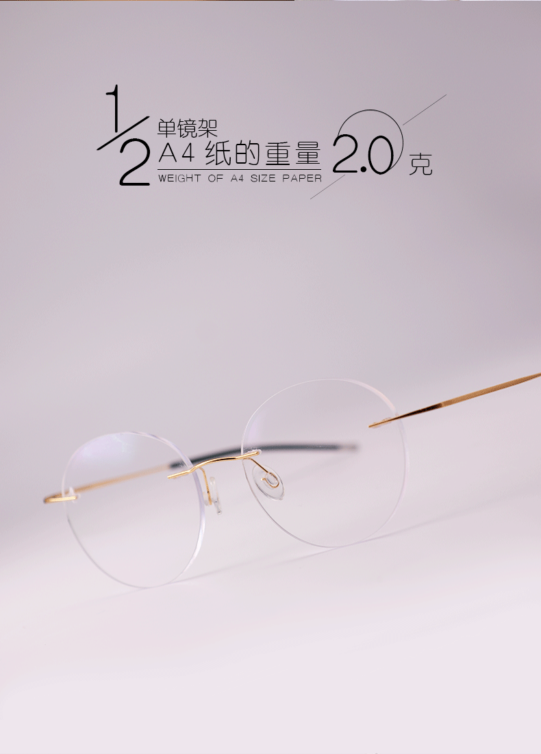 Montures de lunettes en Titane pur - Ref 3140924 Image 6
