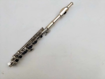 Golden McElz short flute instruments to play the test class