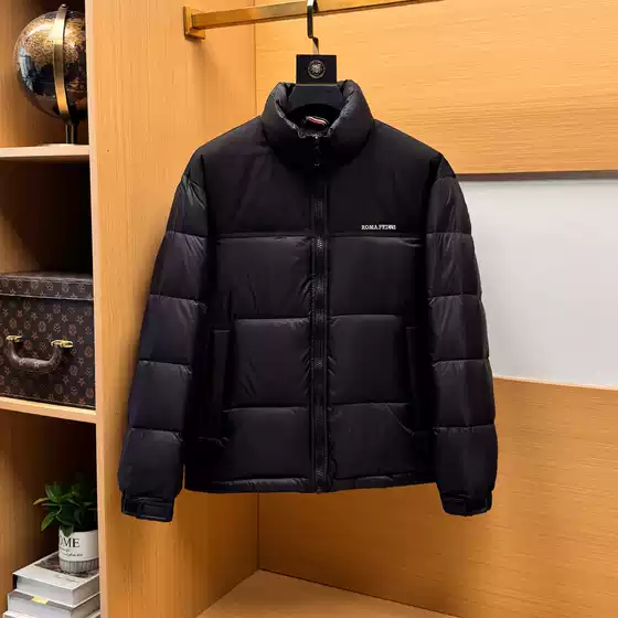 European High-End Patchwork Stand-Collar down Jacket for Men, New Winter Model, Light Luxury Trendy Brand, White Duck Down, Warm Casual Coat