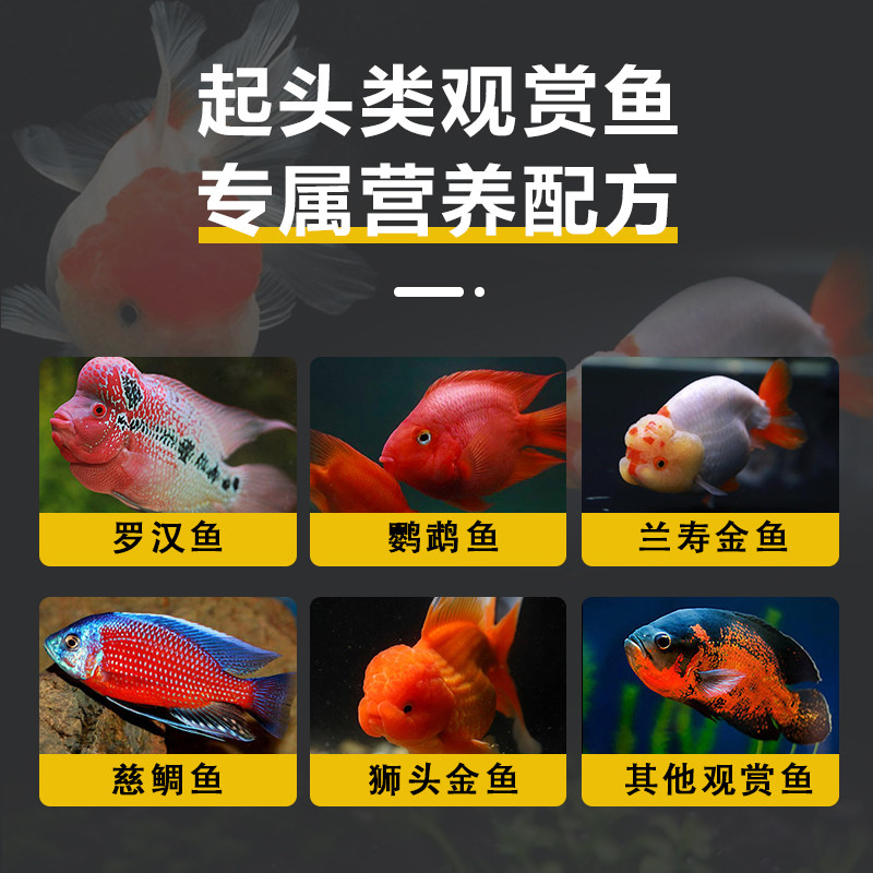 养鱼新手必看!极飨罗汉鱼饲料,让你的花罗汉变美变靓!-观赏鱼饲料-淘宝好物网