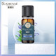 Jia Meile Rosemary Essential Oil 10ml Soft and Refreshing Essential Oil Aromatherapy Authentic Product